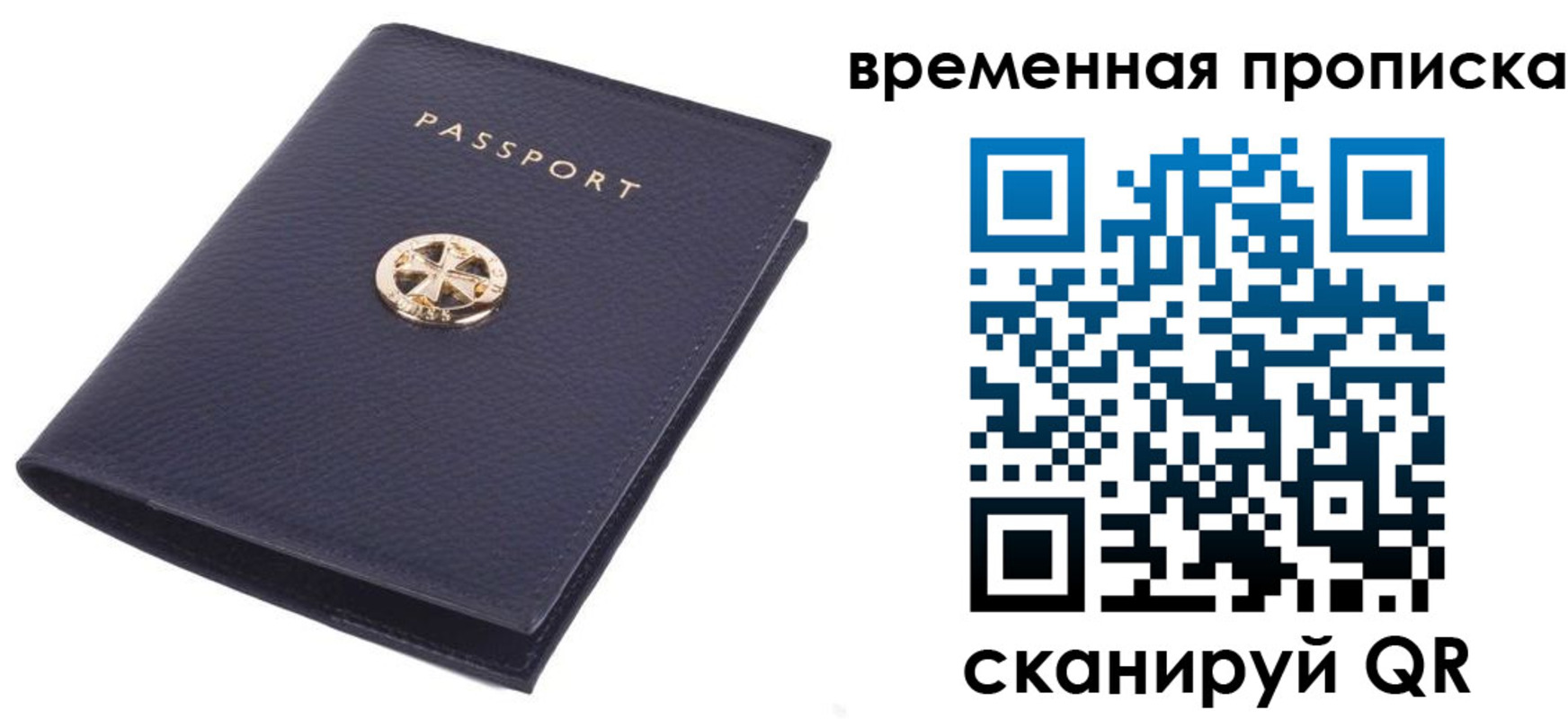 прописка для школы в Александровске